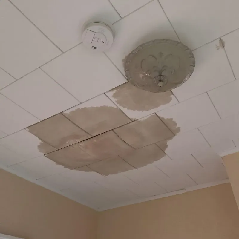 Ceiling Water Damage Repair in Edenton, NC