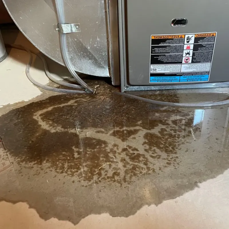 Pipe Burst and Leak Restoration in Edenton, NC