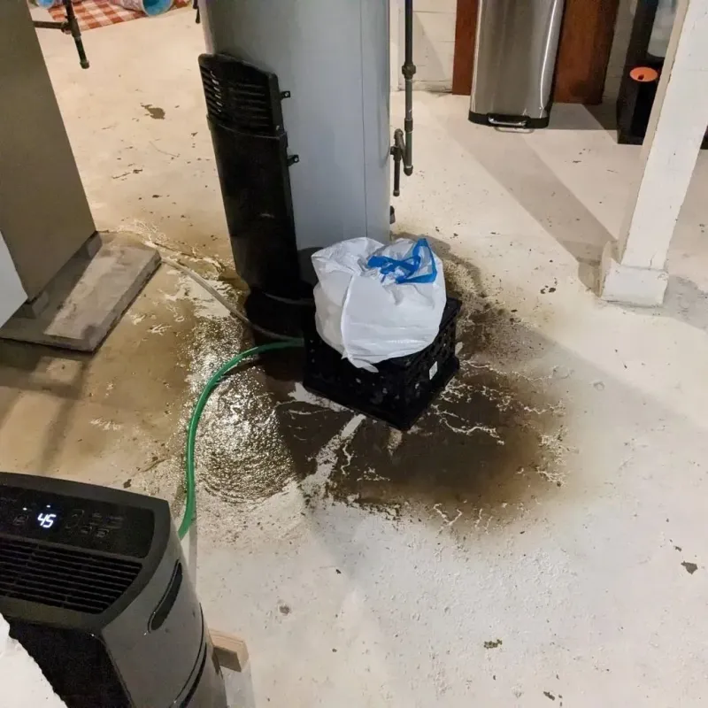 Sewage Backup Cleanup Service in Edenton, NC